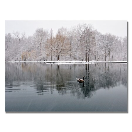 Kurt Shaffer 'Winter Goose' Canvas Art,22x32